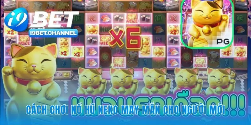 Làm quen với luật chơi và các biểu tượng quan trọng