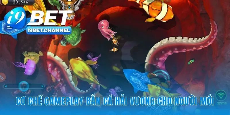 Làm chủ luật chơi để chinh phục đại dương xanh