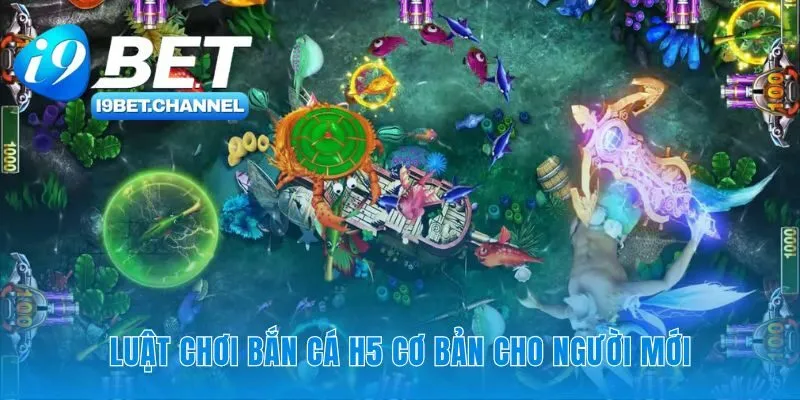 Những quy tắc đầu tiên trên hành trình săn thưởng